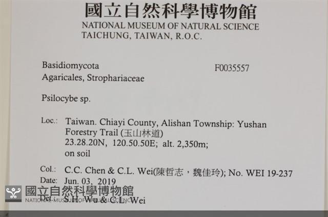 登錄號:F0035557藏品圖，第2張