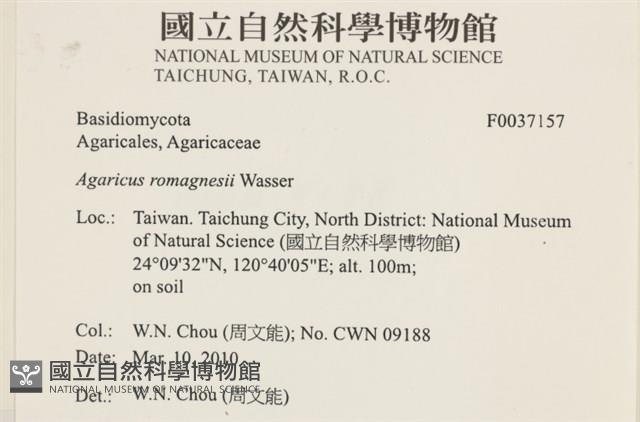 登錄號:F0037157藏品圖，第2張