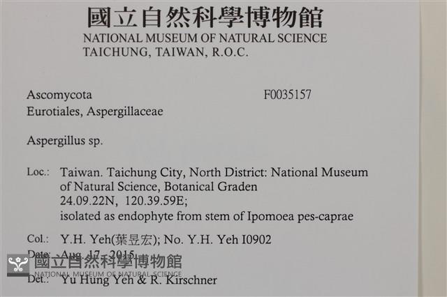 登錄號:F0035157藏品圖，第2張