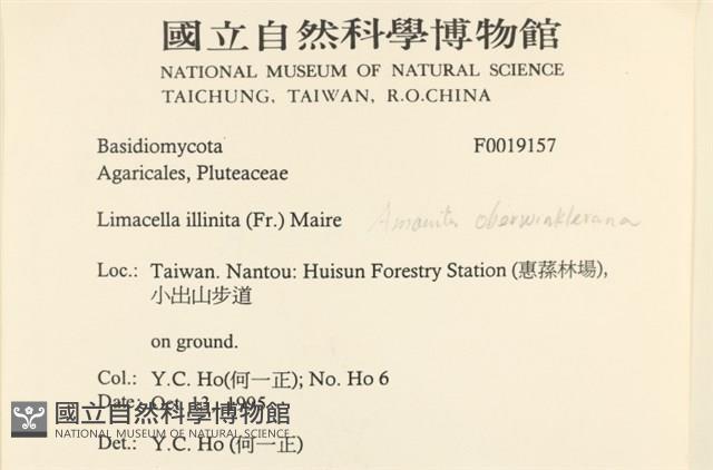登錄號:F0019157藏品圖，第2張