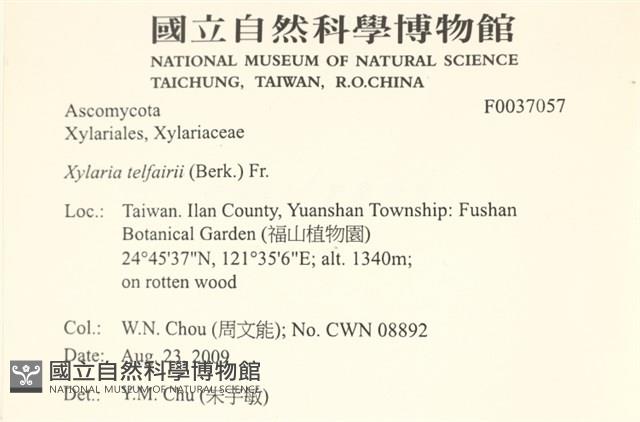 登錄號:F0037057藏品圖，第1張