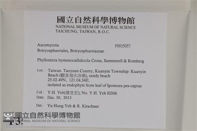 登錄號:F0035057藏品圖，第2張
