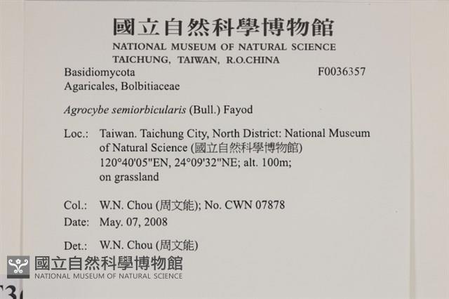 登錄號:F0036357藏品圖，第2張