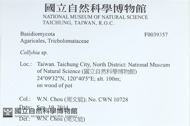 登錄號:F0039357藏品圖，第2張