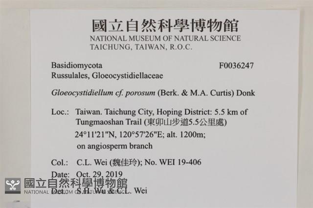 登錄號:F0036247藏品圖，第2張