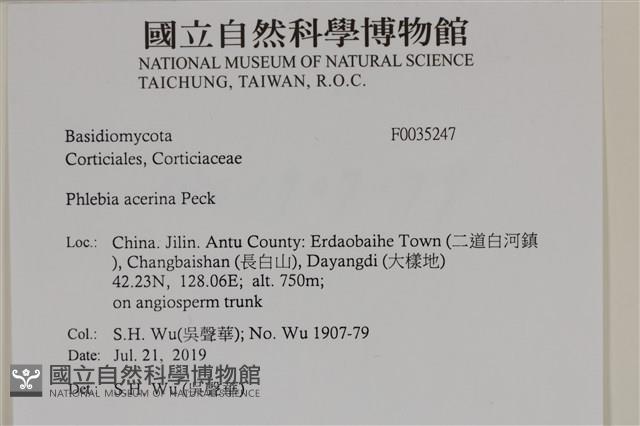 登錄號:F0035247藏品圖，第2張