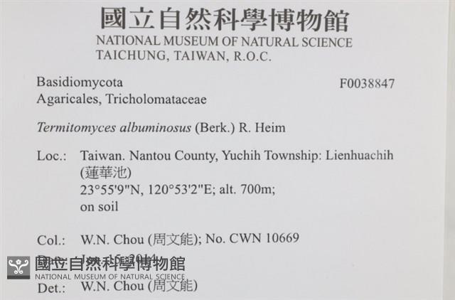 登錄號:F0038847藏品圖，第2張