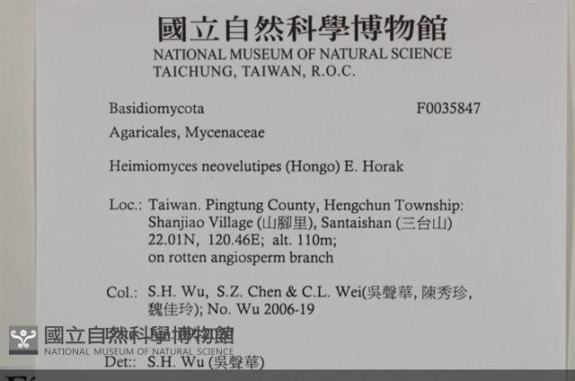 登錄號:F0035847藏品圖，第2張