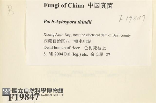 登錄號:F0019847藏品圖，第2張