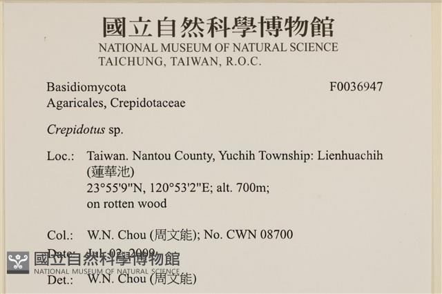 登錄號:F0036947藏品圖，第2張
