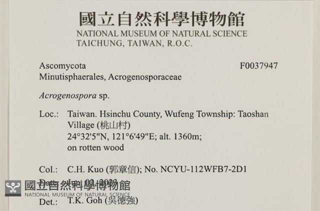 登錄號:F0037947藏品圖，第1張