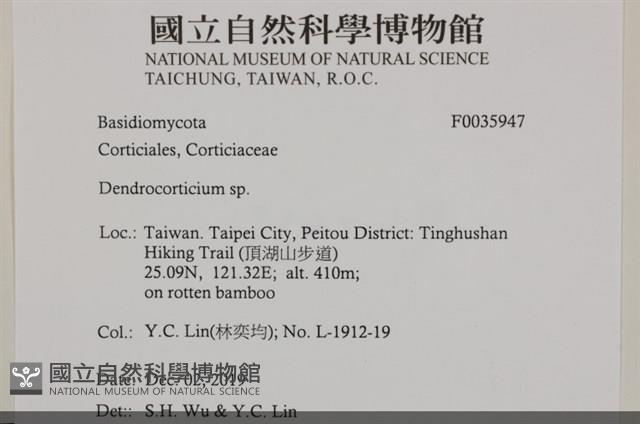 登錄號:F0035947藏品圖，第3張