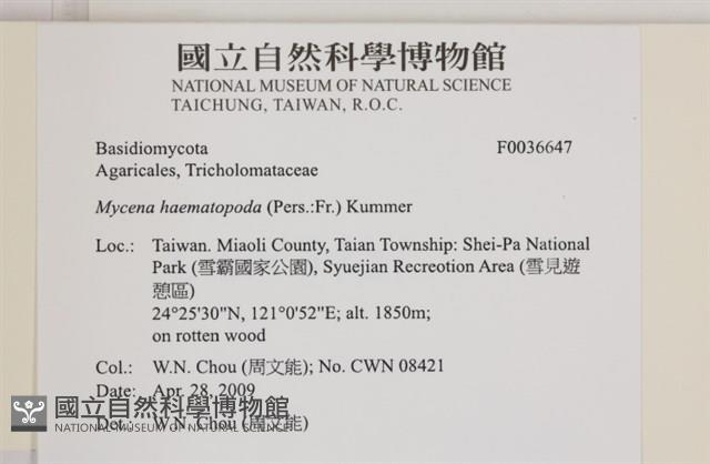 登錄號:F0036647藏品圖，第2張