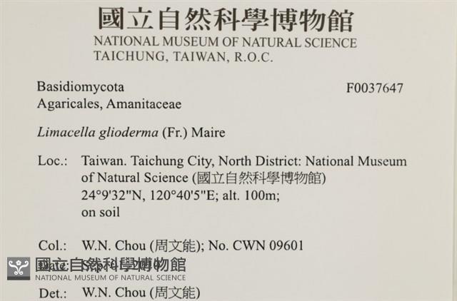 登錄號:F0037647藏品圖，第2張