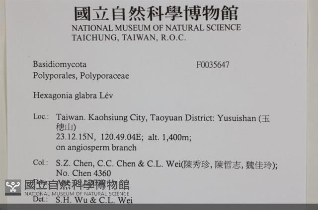 登錄號:F0035647藏品圖，第2張