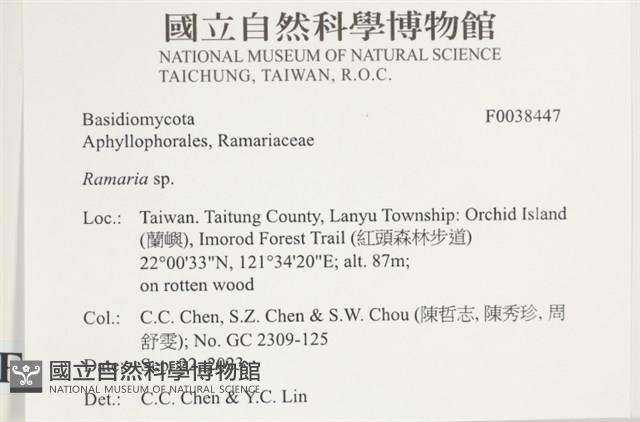 登錄號:F0038447藏品圖，第2張