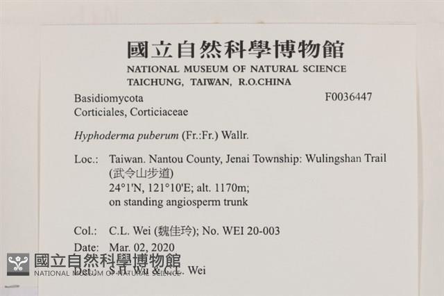 登錄號:F0036447藏品圖，第2張