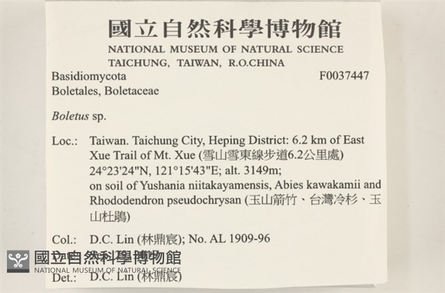 登錄號:F0037447藏品圖，第2張
