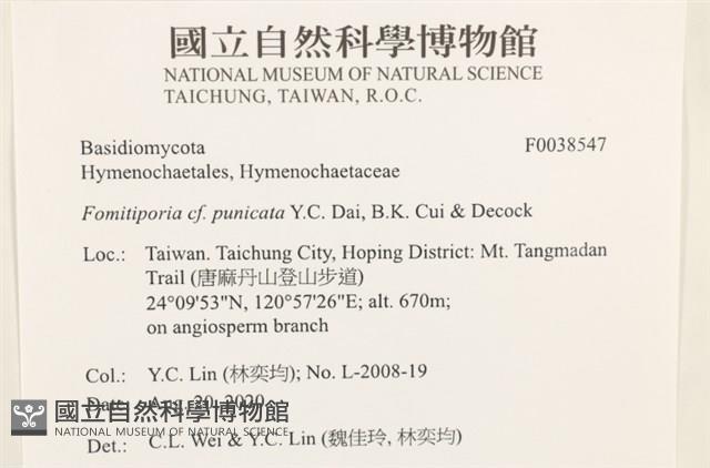 登錄號:F0038547藏品圖，第2張