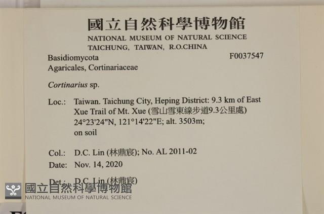登錄號:F0037547藏品圖，第2張