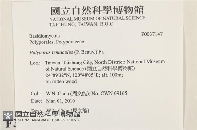 登錄號:F0037147藏品圖，第2張