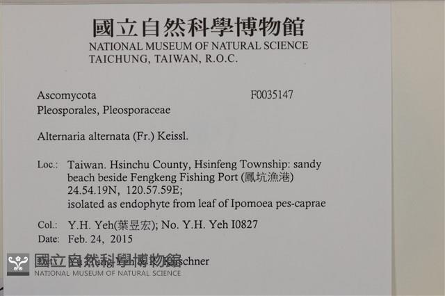 登錄號:F0035147藏品圖，第2張