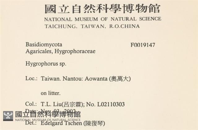 登錄號:F0019147藏品圖，第2張