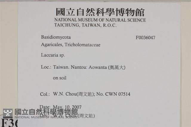 登錄號:F0036047藏品圖，第2張