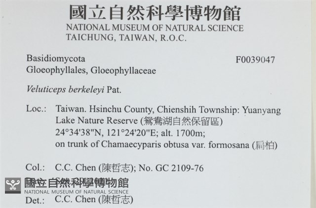 登錄號:F0039047藏品圖，第2張