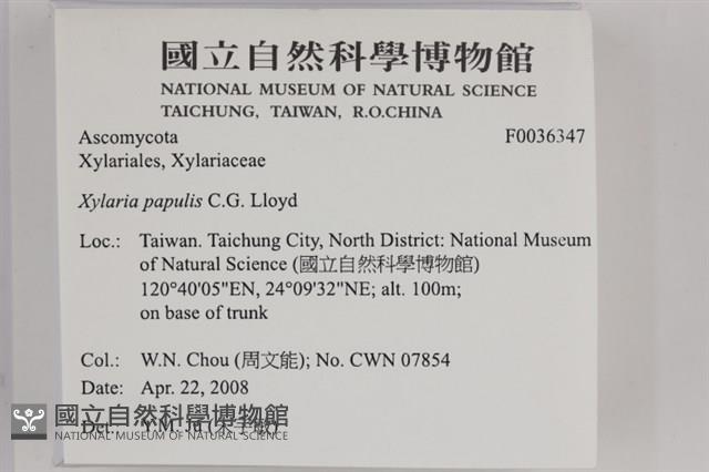 登錄號:F0036347藏品圖，第2張