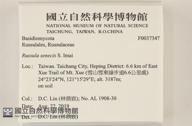 登錄號:F0037347藏品圖，第2張
