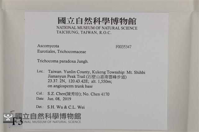 登錄號:F0035347藏品圖，第2張