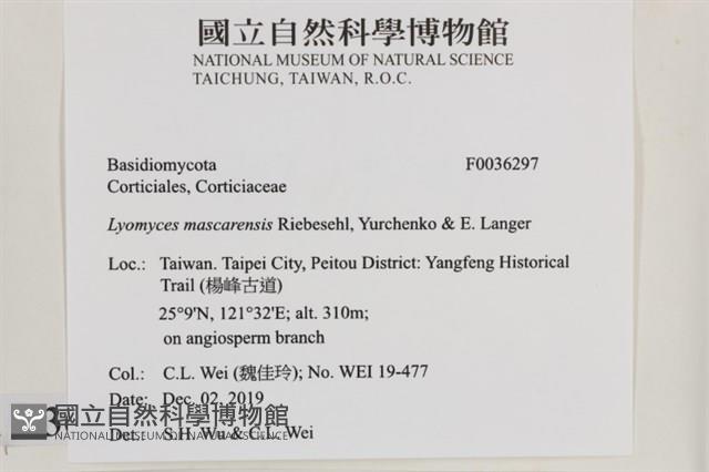 登錄號:F0036297藏品圖，第2張