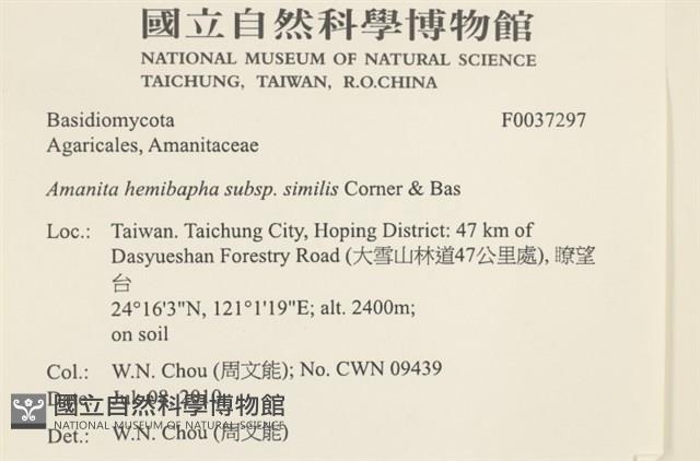 登錄號:F0037297藏品圖，第2張