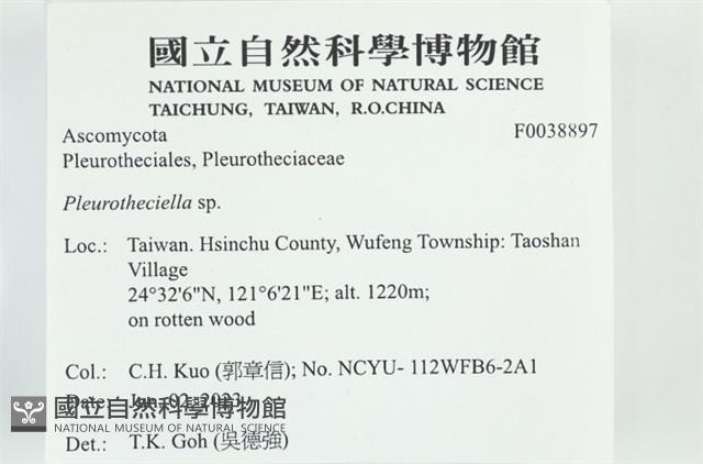 登錄號:F0038897藏品圖，第2張