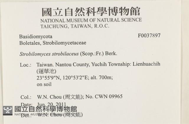 登錄號:F0037897藏品圖，第2張