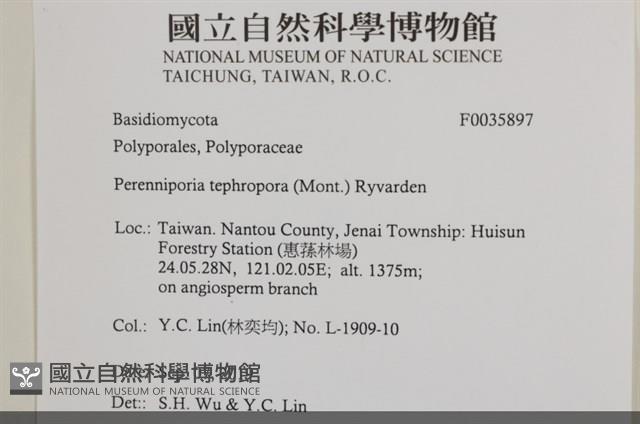 登錄號:F0035897藏品圖，第2張
