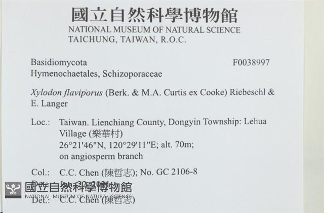 登錄號:F0038997藏品圖，第2張