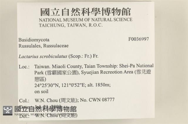 登錄號:F0036997藏品圖，第2張