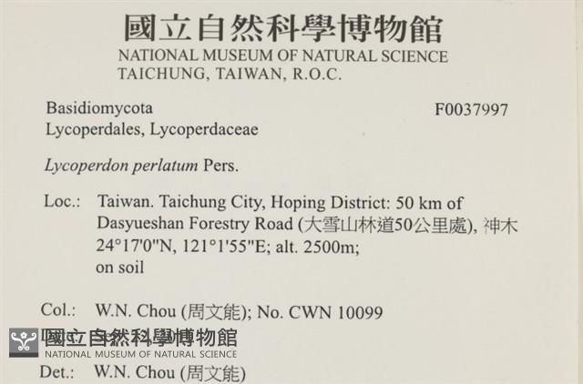 登錄號:F0037997藏品圖，第2張