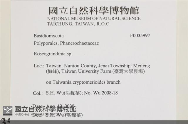 登錄號:F0035997藏品圖，第2張