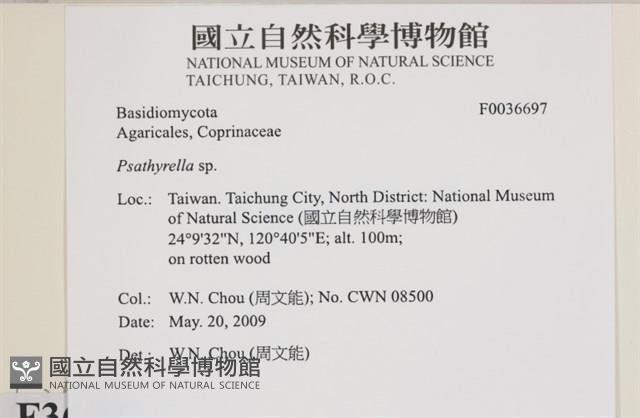 登錄號:F0036697藏品圖，第2張