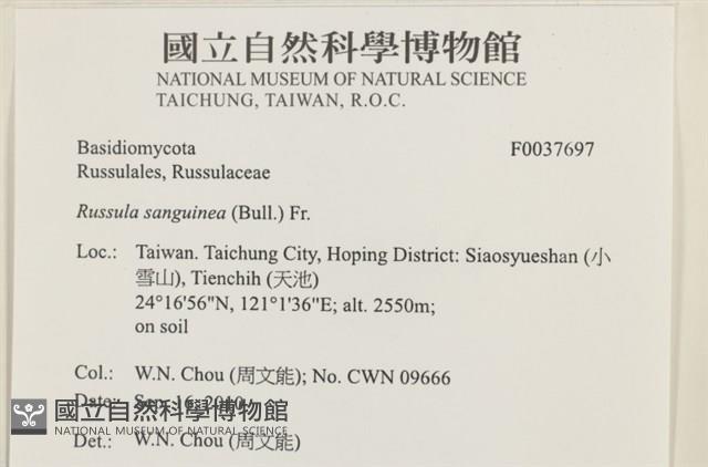 登錄號:F0037697藏品圖，第2張
