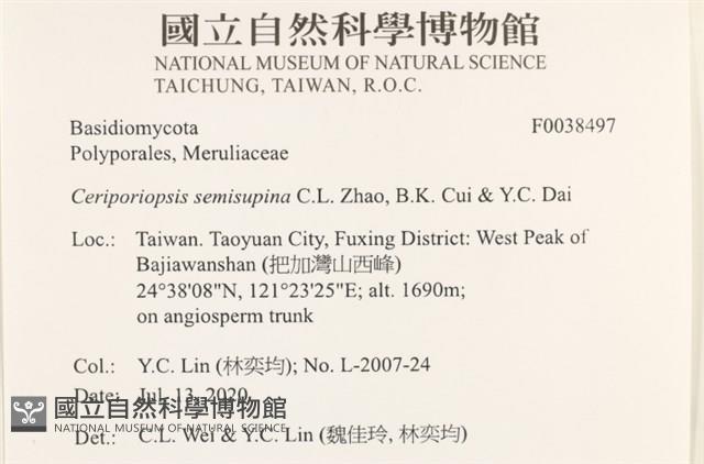登錄號:F0038497藏品圖，第2張