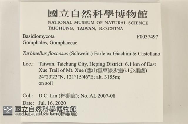 登錄號:F0037497藏品圖，第2張