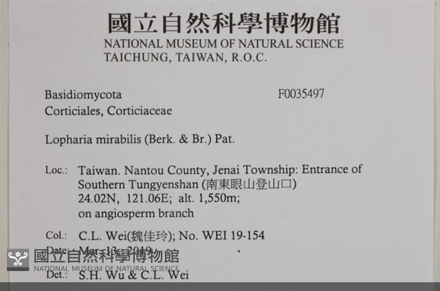 登錄號:F0035497藏品圖，第2張