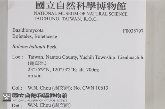 登錄號:F0038797藏品圖，第2張