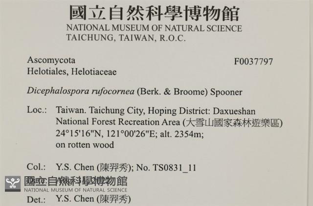 登錄號:F0037797藏品圖，第2張
