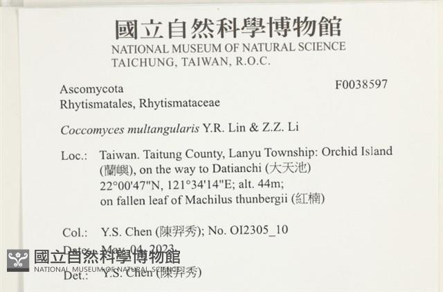 登錄號:F0038597藏品圖，第2張