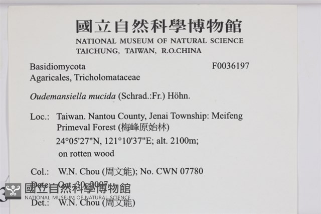 登錄號:F0036197藏品圖，第2張